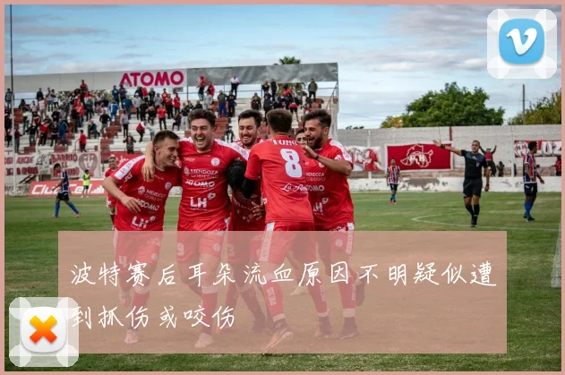 波特赛后耳朵流血原因不明疑似遭到抓伤或咬伤