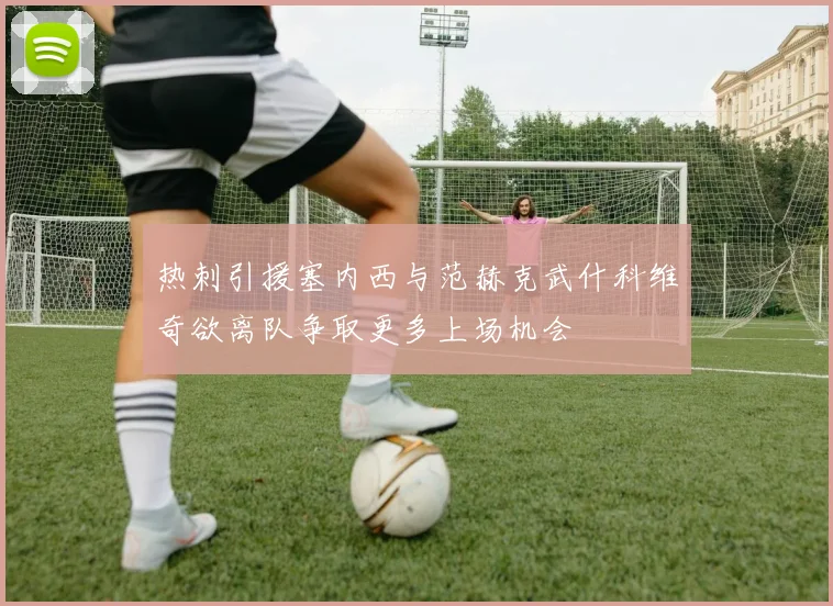 热刺引援塞内西与范赫克武什科维奇欲离队争取更多上场机会